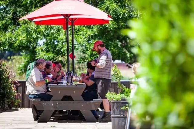 Long tables under the elms in the Pig & Whistle beer garden